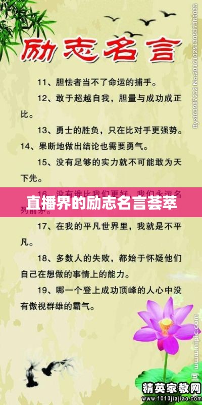 直播界的励志名言荟萃