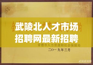 武陵北人才市场招聘网最新招聘动态速递