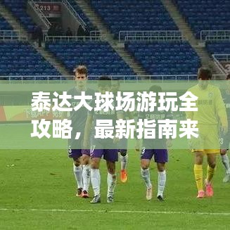 泰达大球场游玩全攻略，最新指南来啦！
