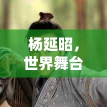 杨延昭，世界舞台上的杰出成就与排名揭秘