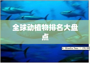 全球动植物排名大盘点