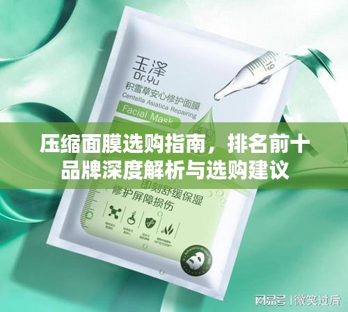 压缩面膜选购指南，排名前十品牌深度解析与选购建议
