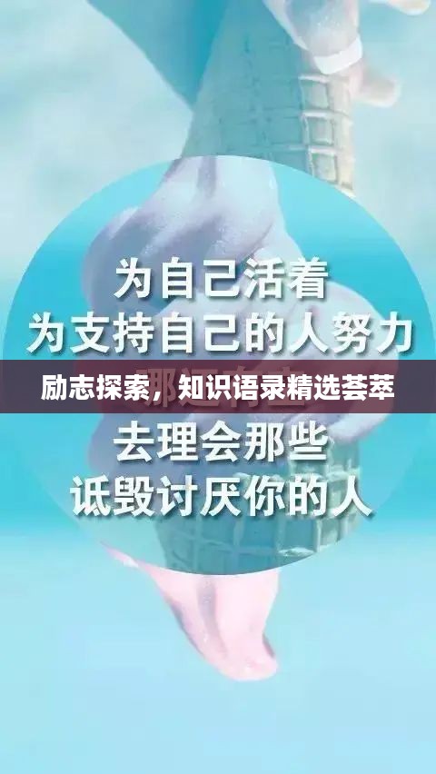 励志探索，知识语录精选荟萃