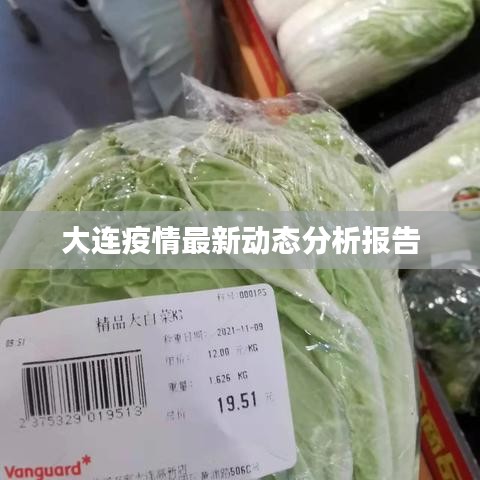 大连疫情最新动态分析报告