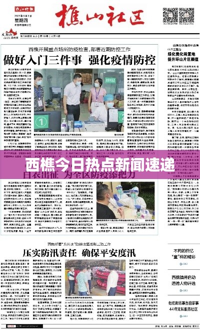 西樵今日热点新闻速递