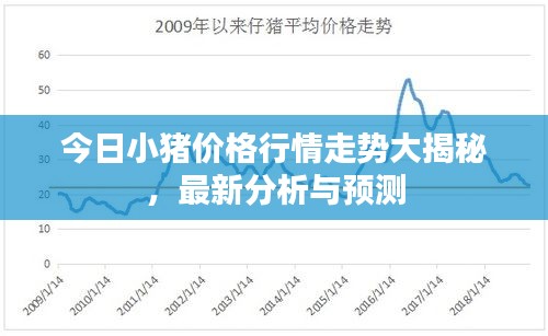 今日小猪价格行情走势大揭秘，最新分析与预测