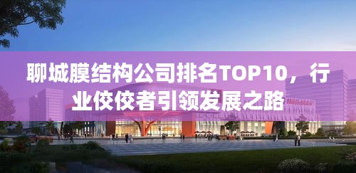 聊城膜结构公司排名TOP10，行业佼佼者引领发展之路