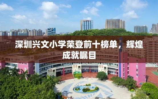 深圳兴文小学荣登前十榜单，辉煌成就瞩目