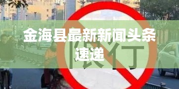 金海县最新新闻头条速递
