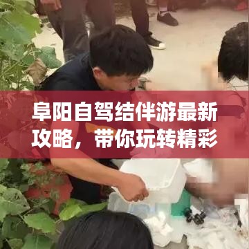 阜阳自驾结伴游最新攻略，带你玩转精彩旅程！