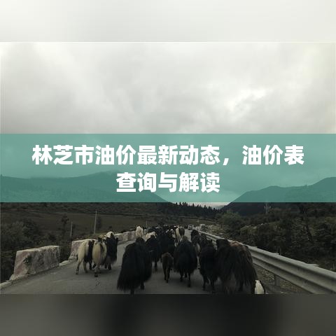 林芝市油价最新动态，油价表查询与解读