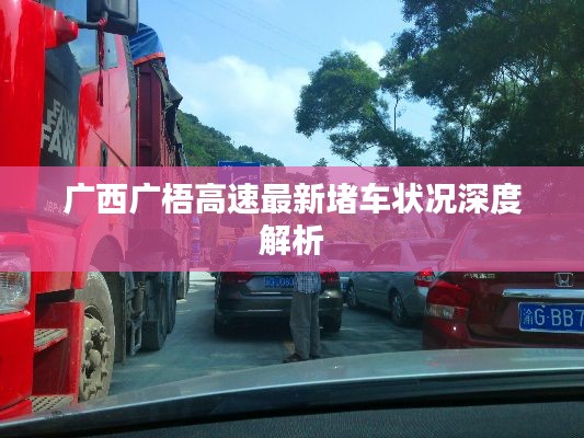 广西广梧高速最新堵车状况深度解析
