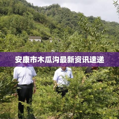 安康市木瓜沟最新资讯速递