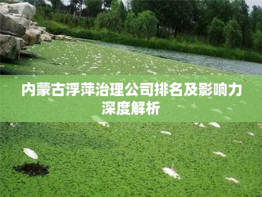 内蒙古浮萍治理公司排名及影响力深度解析