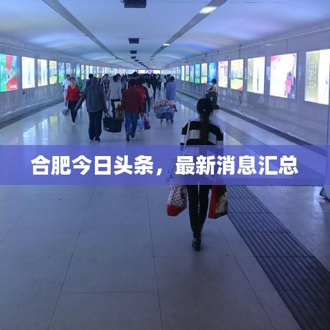 合肥今日头条，最新消息汇总
