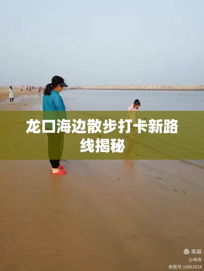 龙口海边散步打卡新路线揭秘