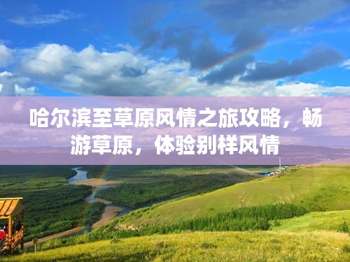 哈尔滨至草原风情之旅攻略，畅游草原，体验别样风情
