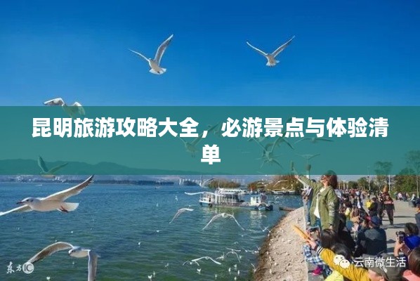 昆明旅游攻略大全，必游景点与体验清单