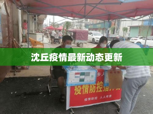 沈丘疫情最新动态更新