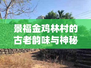 景福金鸡林村的古老韵味与神秘风情探寻