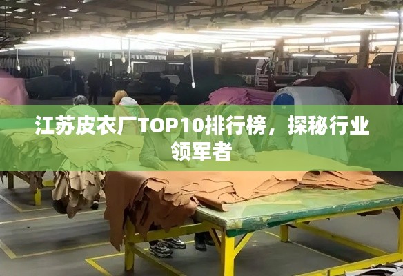 江苏皮衣厂TOP10排行榜，探秘行业领军者