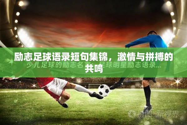 励志足球语录短句集锦，激情与拼搏的共鸣