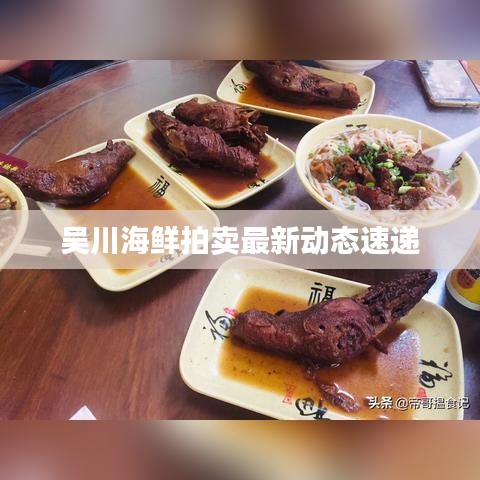 吴川海鲜拍卖最新动态速递