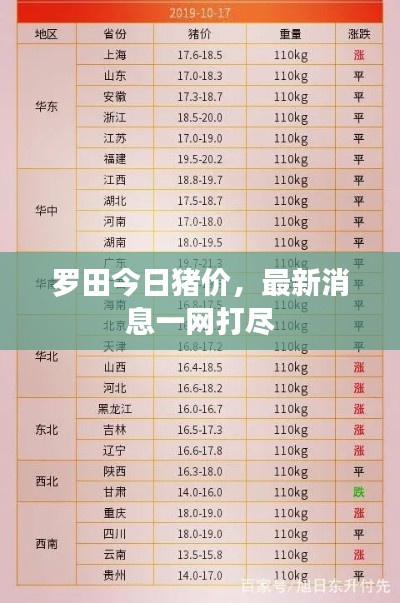罗田今日猪价，最新消息一网打尽