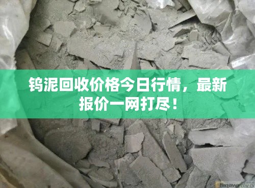 钨泥回收价格今日行情，最新报价一网打尽！