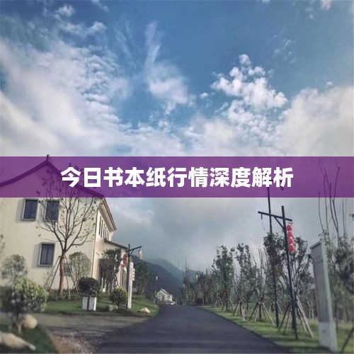 今日书本纸行情深度解析