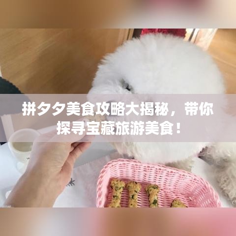 拼夕夕美食攻略大揭秘，带你探寻宝藏旅游美食！