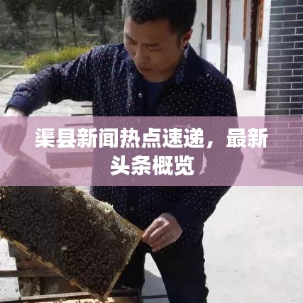渠县新闻热点速递，最新头条概览