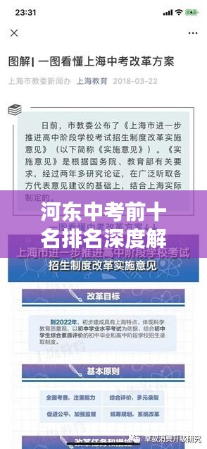 河东中考前十名排名深度解析，学霸背后的秘密！