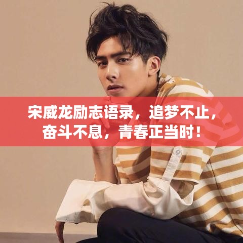 宋威龙励志语录，追梦不止，奋斗不息，青春正当时！