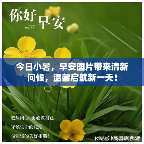 今日小暑，早安图片带来清新问候，温馨启航新一天！