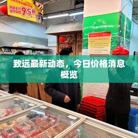 致远最新动态，今日价格消息概览