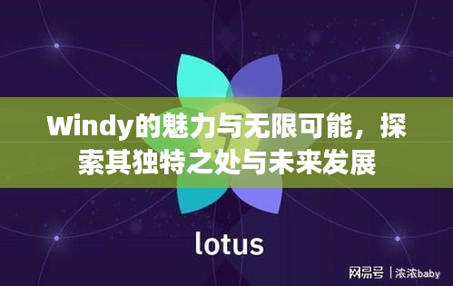Windy的魅力与无限可能，探索其独特之处与未来发展