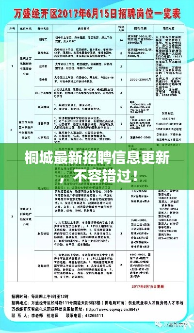 桐城最新招聘信息更新，不容错过！
