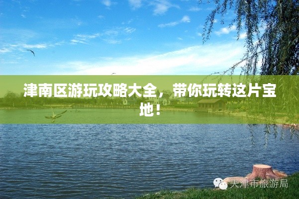津南区游玩攻略大全，带你玩转这片宝地！