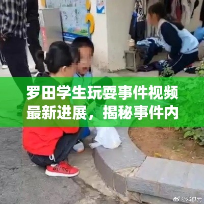 罗田学生玩耍事件视频最新进展，揭秘事件内幕