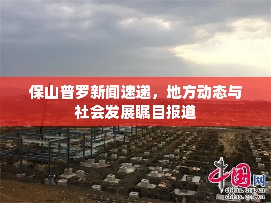 保山普罗新闻速递，地方动态与社会发展瞩目报道
