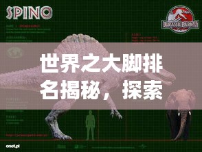 世界之大脚排名揭秘，探索大脚奇趣之旅