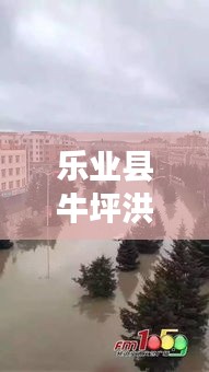 乐业县牛坪洪水实况，最新信息及影响全面解析