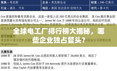 全球电工厂排行榜大揭秘，哪些企业独占鳌头？