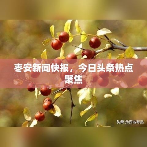 枣安新闻快报，今日头条热点聚焦