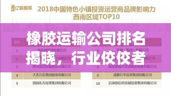 橡胶运输公司排名揭晓，行业佼佼者及影响力概览