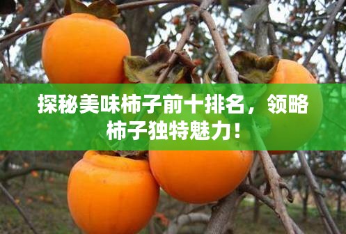 探秘美味柿子前十排名，领略柿子独特魅力！