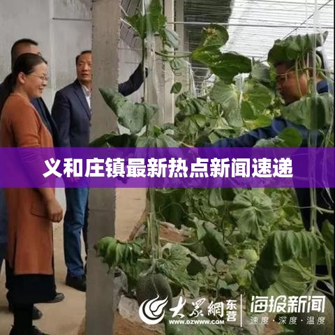 义和庄镇最新热点新闻速递