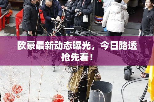 欧豪最新动态曝光，今日路透抢先看！