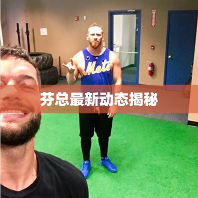 芬总最新动态揭秘